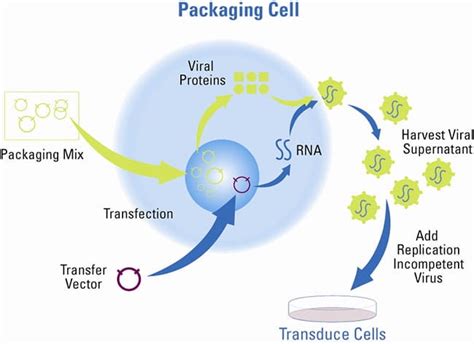 target packing cells